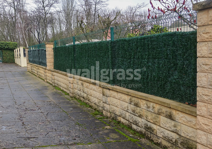 wallgrass grass fence