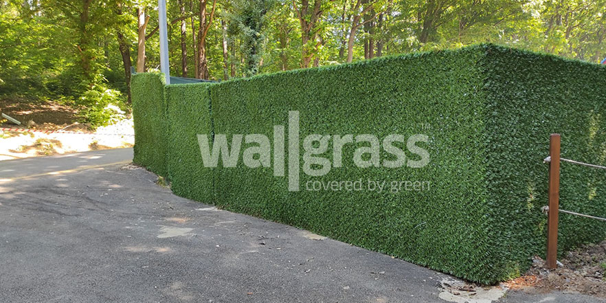 عشب الجدار الاصطناعي
