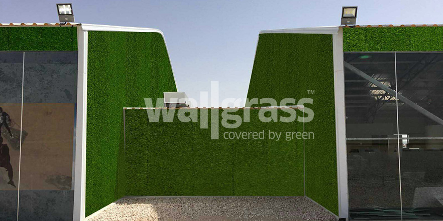 جدار عشبي اخضر