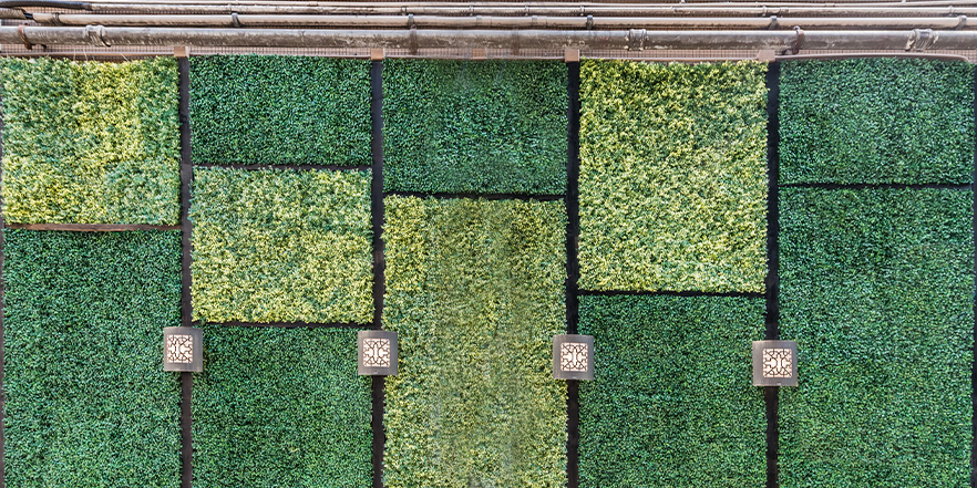 decoración de pared de hierba verde