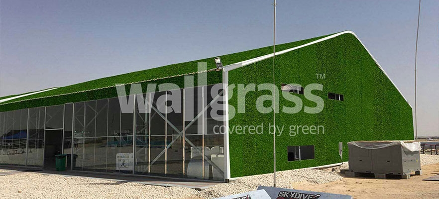 Как использовать стену из травы для внутренней отделки?