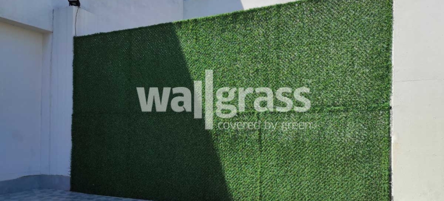 Get Rid of Non-Aesthetic Areas with Wall Grass!